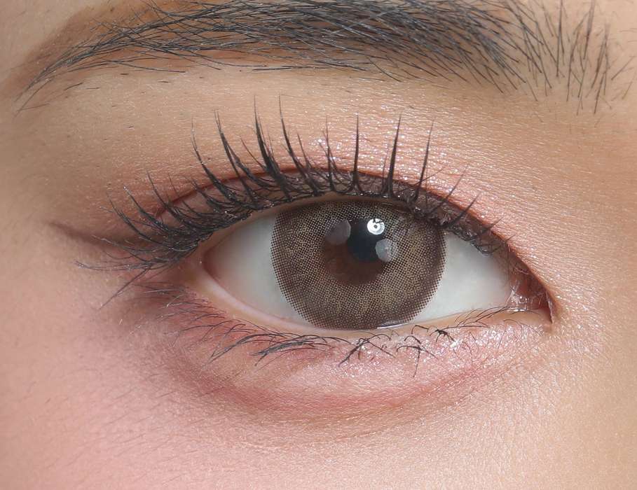 YOLA Walnut on eyes