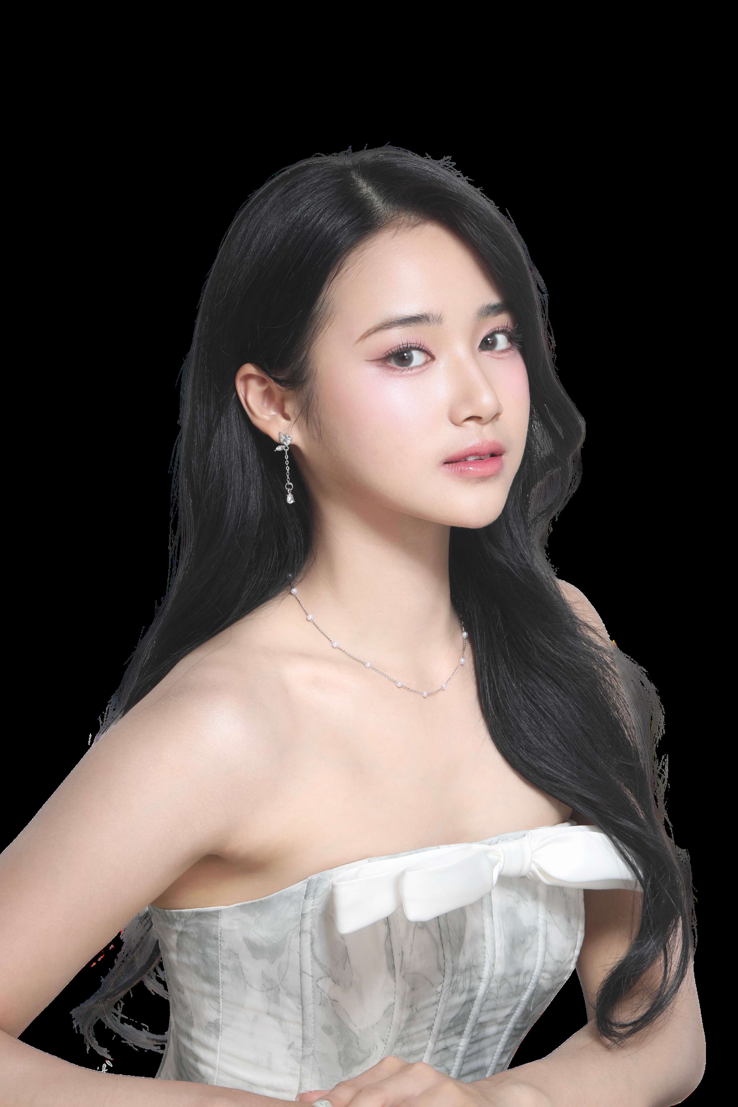 SANA Ice — Model